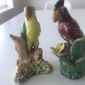 Vintage parrots